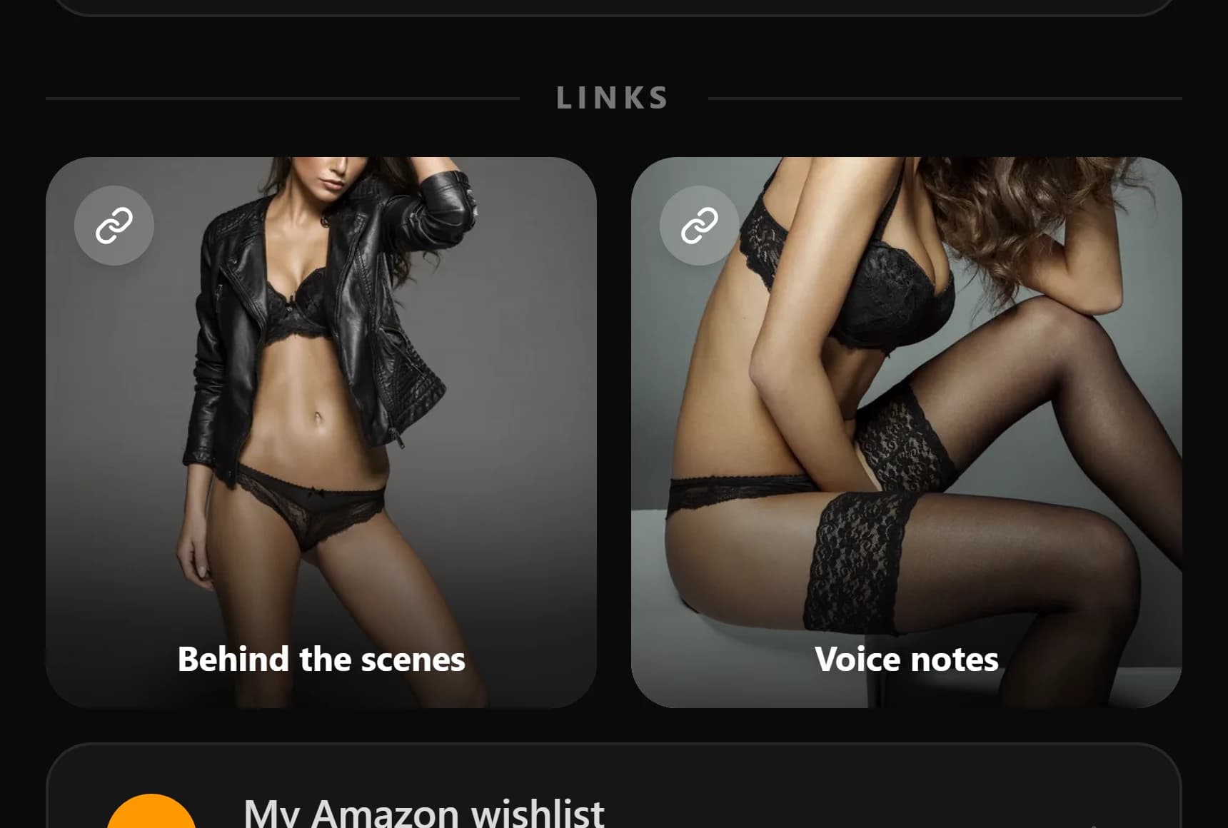 The links section of the same page showing only everyday links: two content tiles and an Amazon wishlist, with no locked cards.